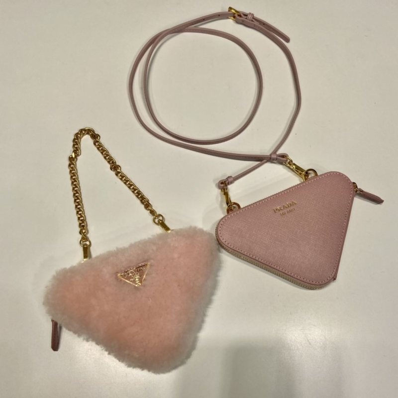 Pra*a triangle pouch